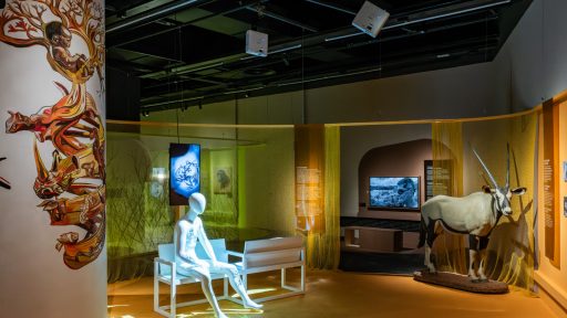 Panoràmica de l'àmbit Desextinció Exposició animals Invisibles